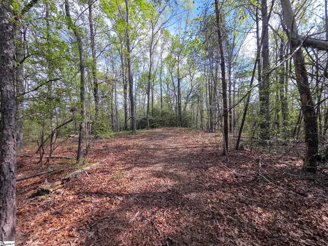 $488,800 | 0 Pumpkintown Highway, Unit TRACT A, Pickens, SC 29671