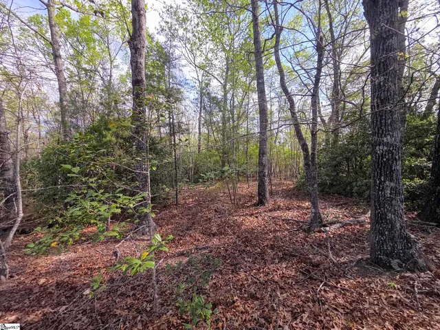 $488,800 | 0 Pumpkintown Highway, Unit TRACT A, Pickens, SC 29671