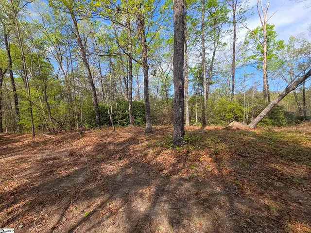 $488,800 | 0 Pumpkintown Highway, Unit TRACT A, Pickens, SC 29671