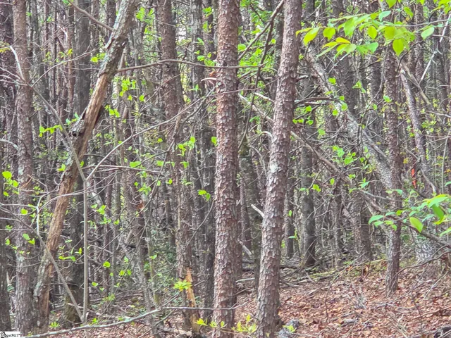 $488,800 | 0 Pumpkintown Highway, Unit TRACT A, Pickens, SC 29671