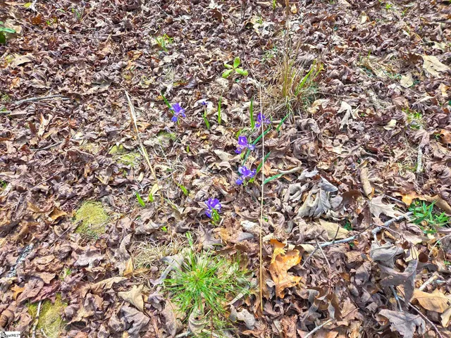 $488,800 | 0 Pumpkintown Highway, Unit TRACT A, Pickens, SC 29671