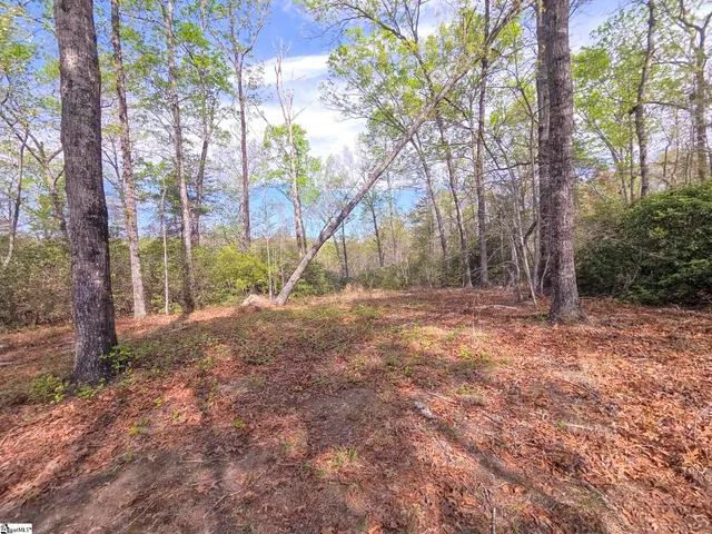 $488,800 | 0 Pumpkintown Highway, Unit TRACT A, Pickens, SC 29671