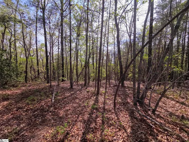 $488,800 | 0 Pumpkintown Highway, Unit TRACT A, Pickens, SC 29671