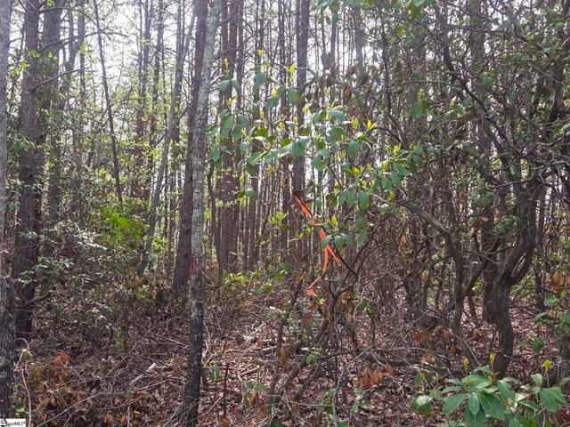 $488,800 | 0 Pumpkintown Highway, Unit TRACT A, Pickens, SC 29671