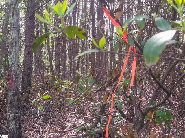 $488,800 | 0 Pumpkintown Highway, Unit TRACT A, Pickens, SC 29671