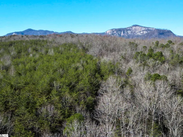 $488,800 | 0 Pumpkintown Highway, Unit TRACT A, Pickens, SC 29671