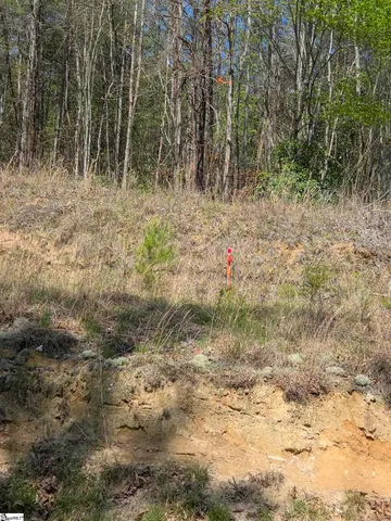 $488,800 | 0 Pumpkintown Highway, Unit TRACT A, Pickens, SC 29671