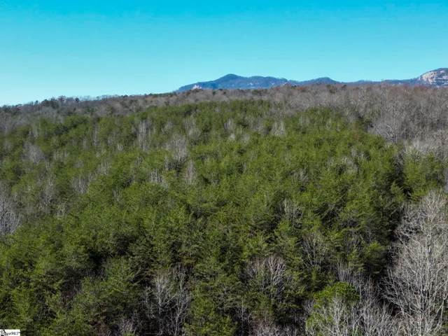 $488,800 | 0 Pumpkintown Highway, Unit TRACT A, Pickens, SC 29671