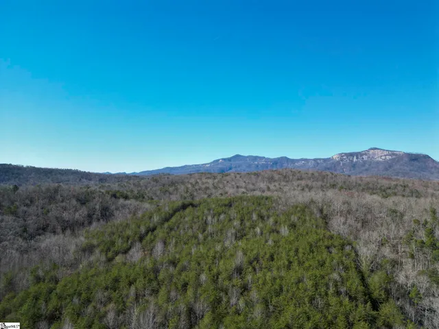 $488,800 | 0 Pumpkintown Highway, Unit TRACT A, Pickens, SC 29671