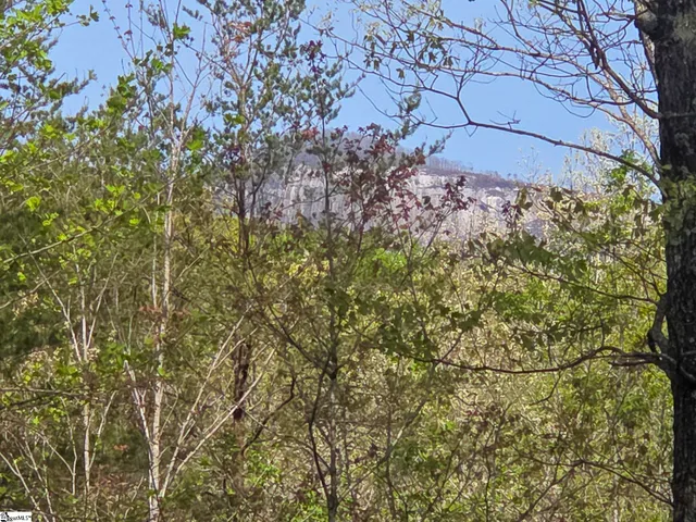 $488,800 | 0 Pumpkintown Highway, Unit TRACT A, Pickens, SC 29671