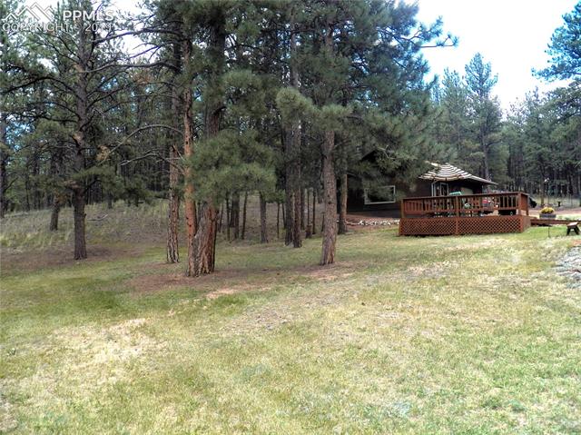 124 Buckridge Road Florissant, CO 80816 - Photo 13 of 36 Gallery Image 13