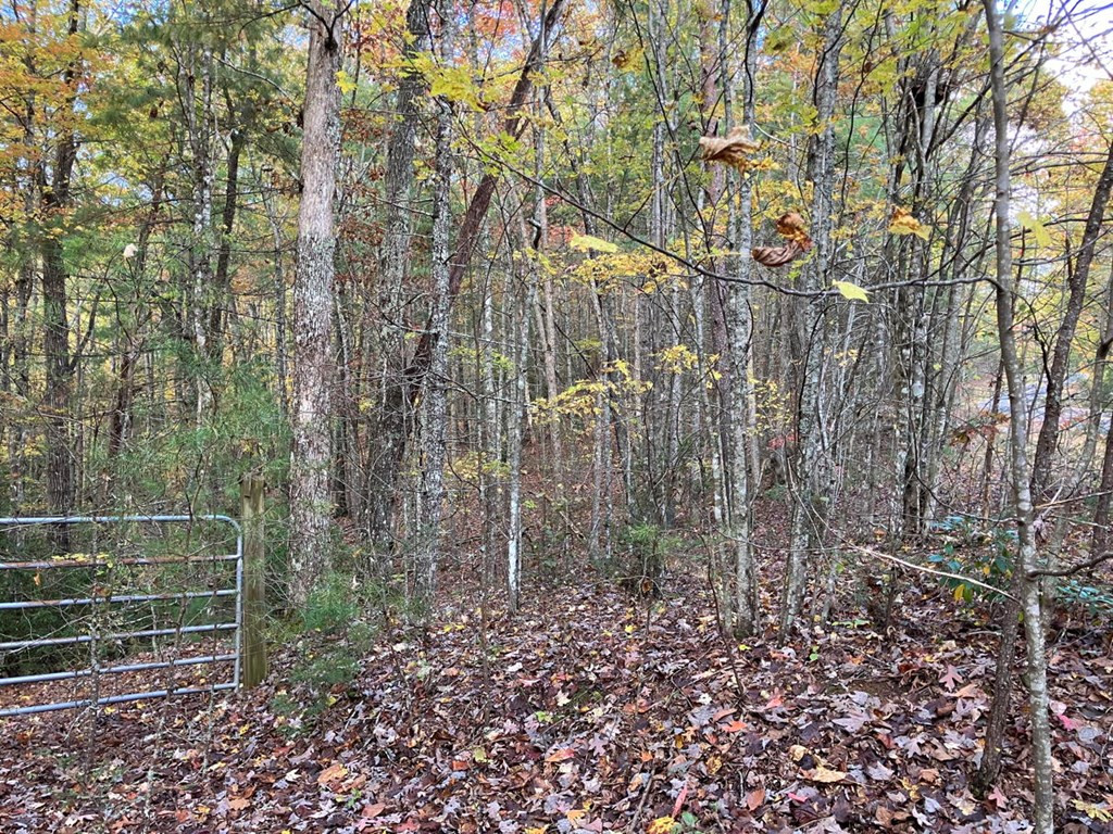 39 A Hedden Stiles Road Murphy, NC 28906 - Photo 18 of 30