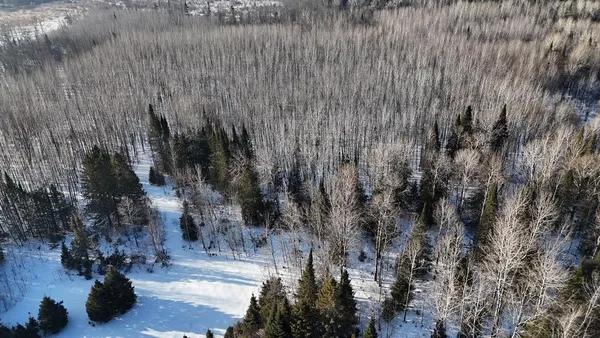 $79,900 | 12905 Township Road East, Floodwood, MN 55736