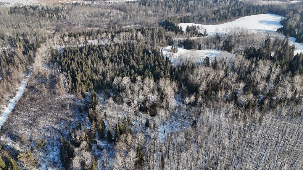 12905 Township Road East Floodwood, MN 55736 - Photo 3 of 15