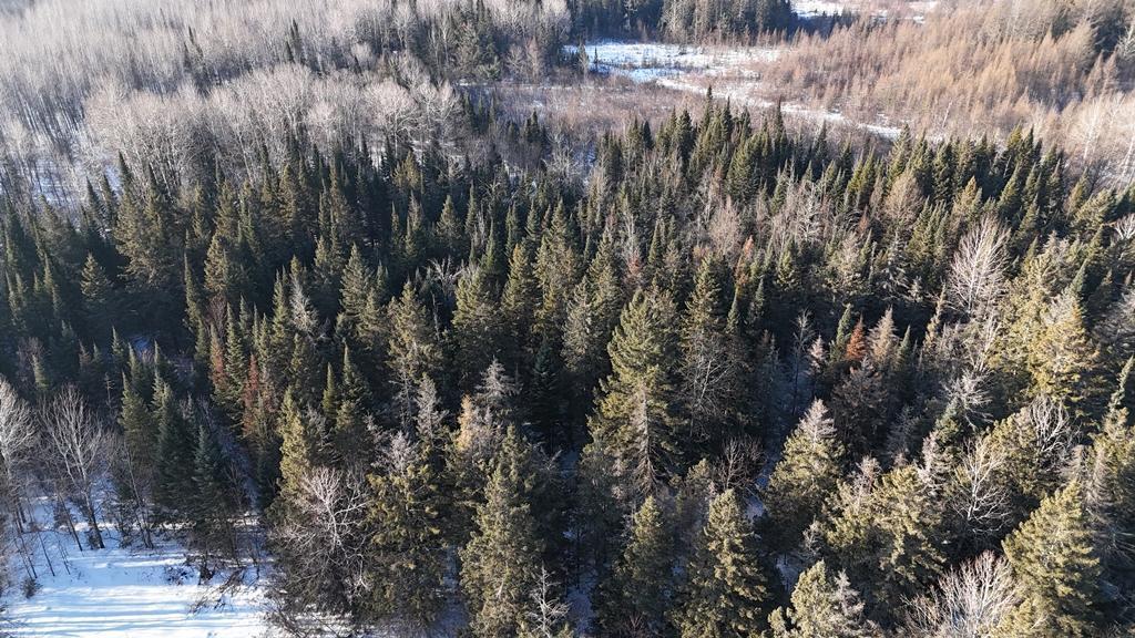 12905 Township Road East Floodwood, MN 55736 - Photo 8 of 15
