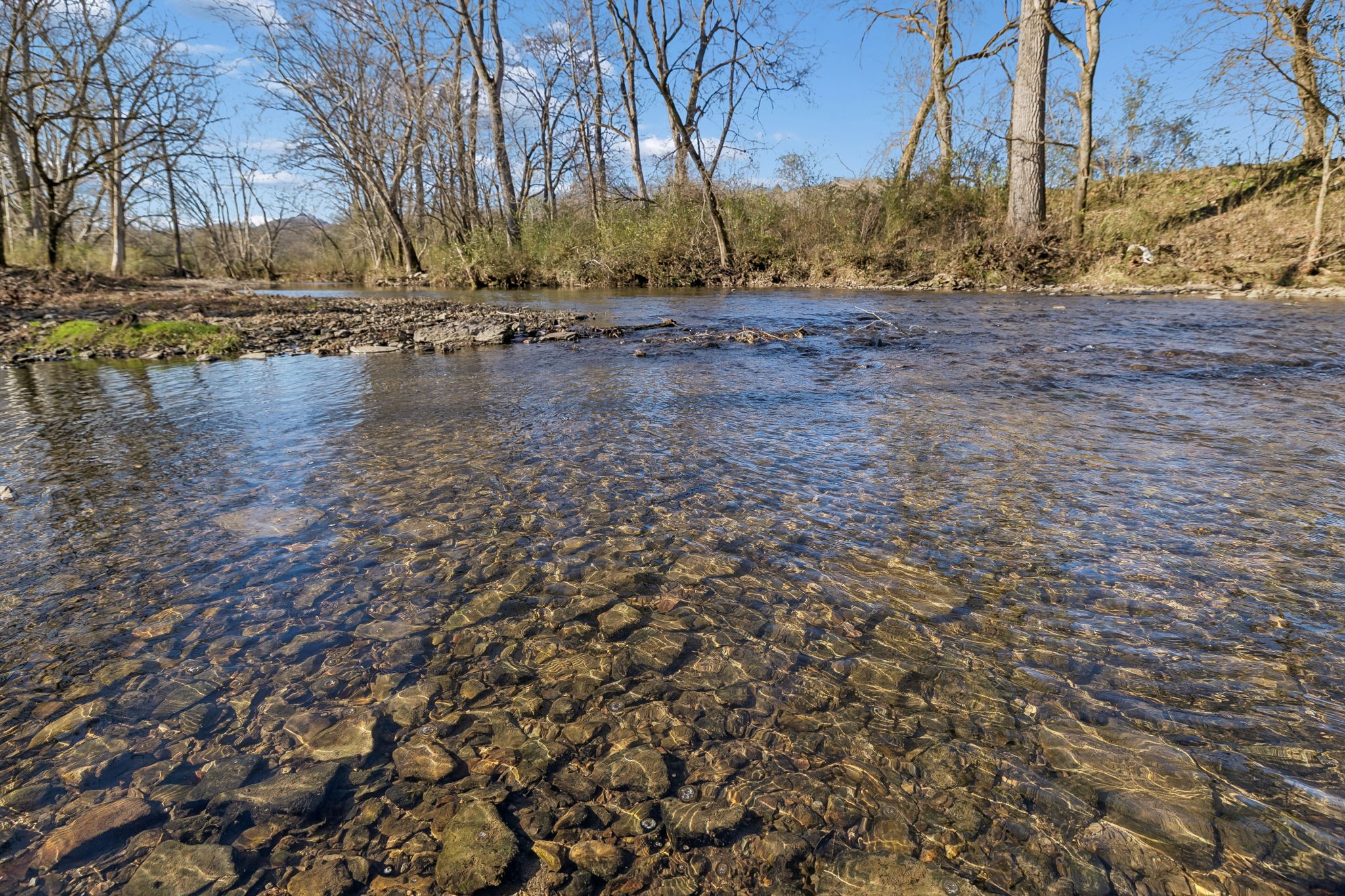 215 Hickman Creek Road South Hickman, TN 38567 - Photo 12 of 98