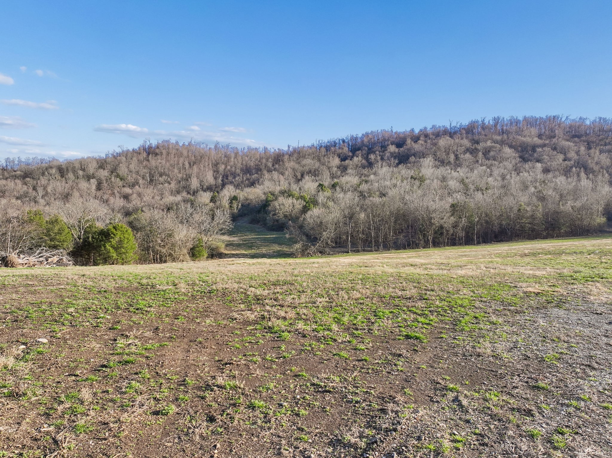 215 Hickman Creek Road South Hickman, TN 38567 - Photo 16 of 98