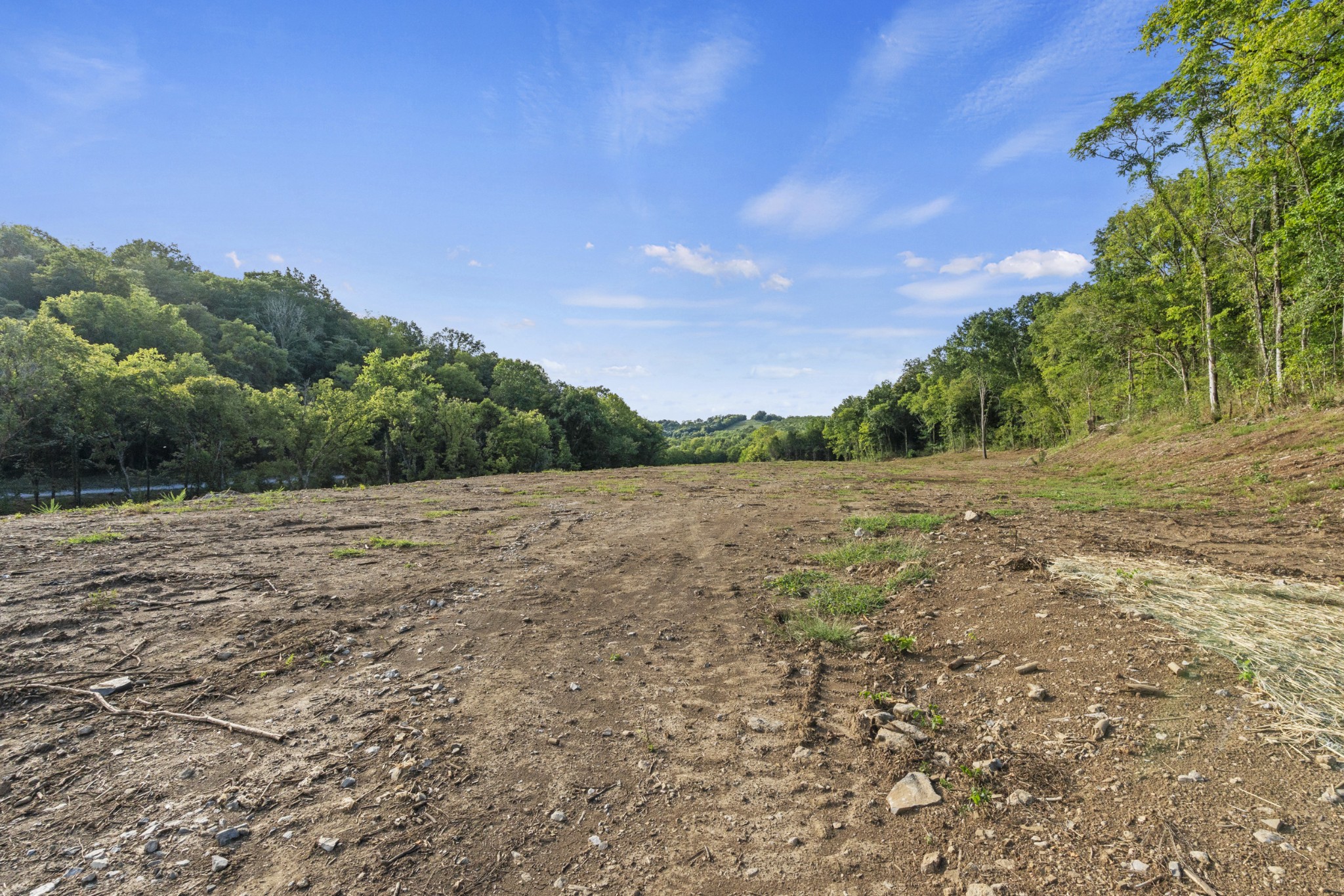 215 Hickman Creek Road South Hickman, TN 38567 - Photo 21 of 98