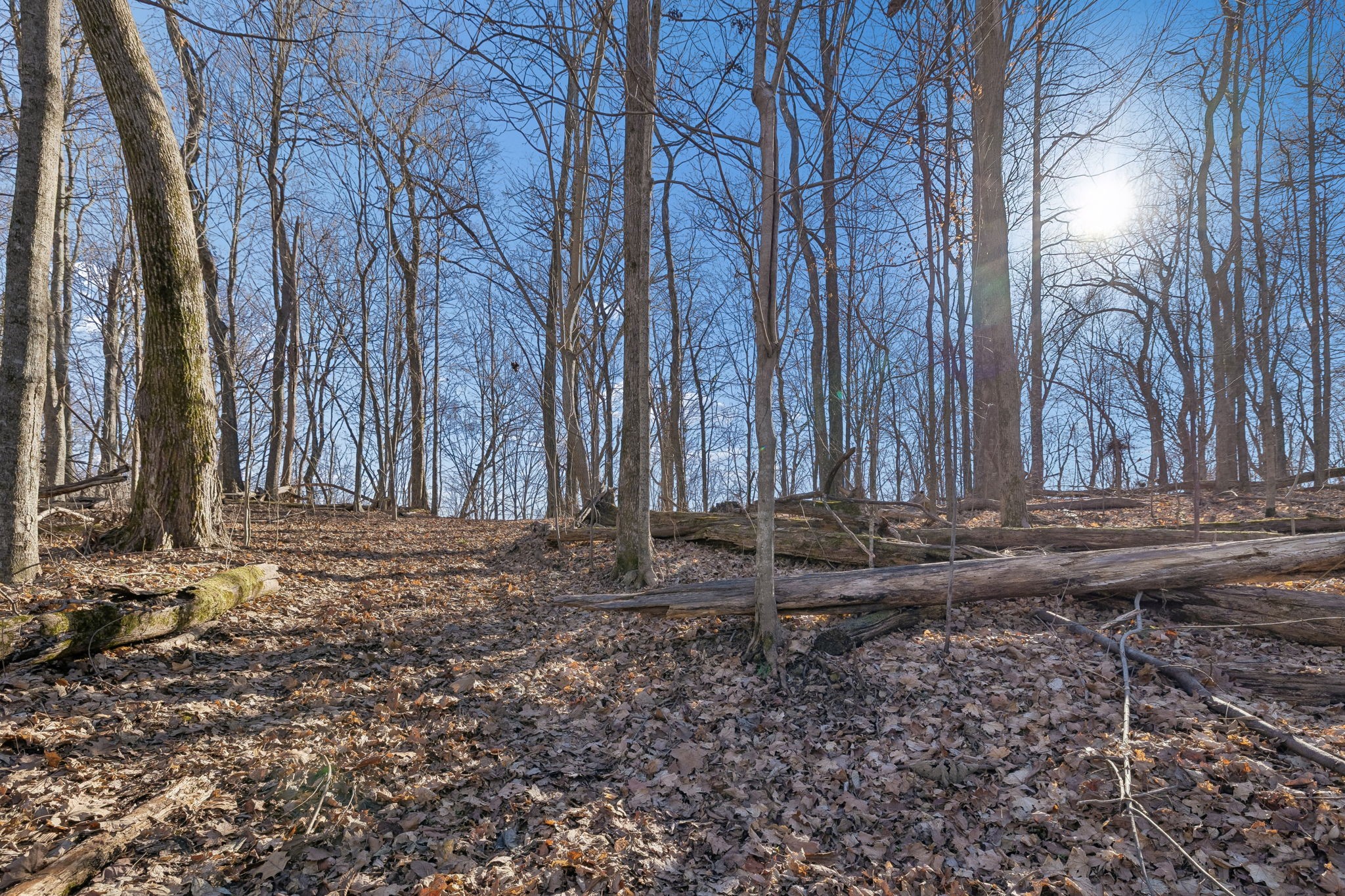 215 Hickman Creek Road South Hickman, TN 38567 - Photo 23 of 98