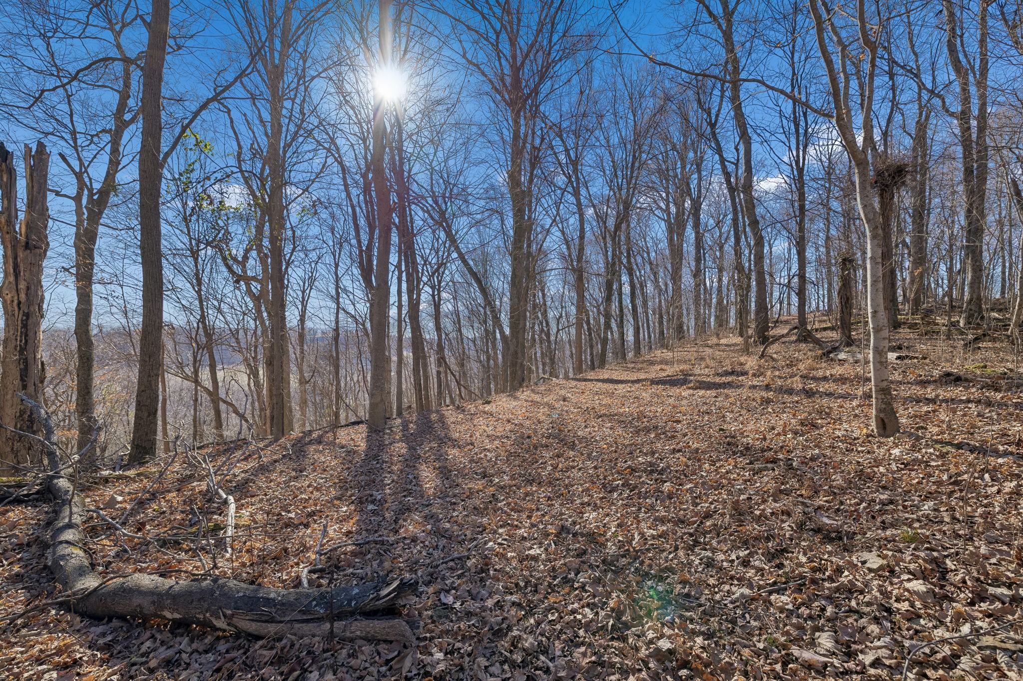 215 Hickman Creek Road South Hickman, TN 38567 - Photo 24 of 98