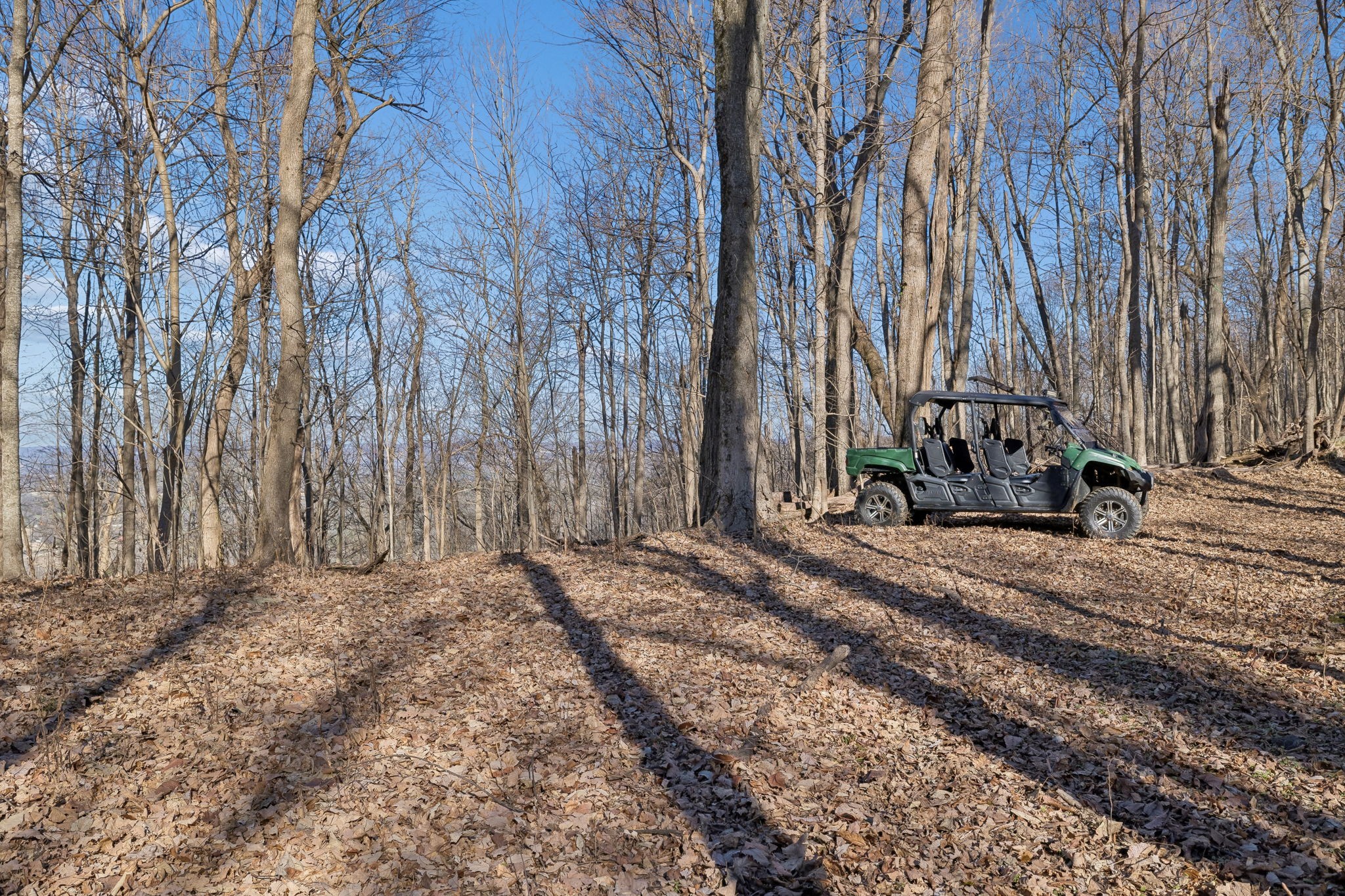 215 Hickman Creek Road South Hickman, TN 38567 - Photo 25 of 98