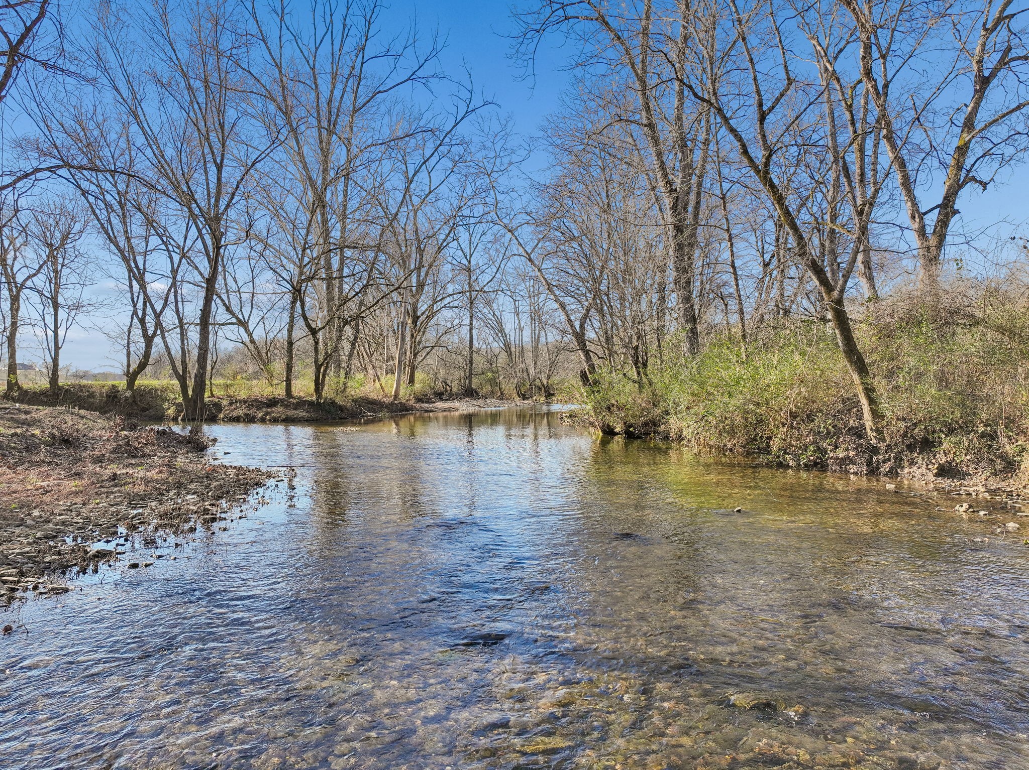 215 Hickman Creek Road South Hickman, TN 38567 - Photo 46 of 98