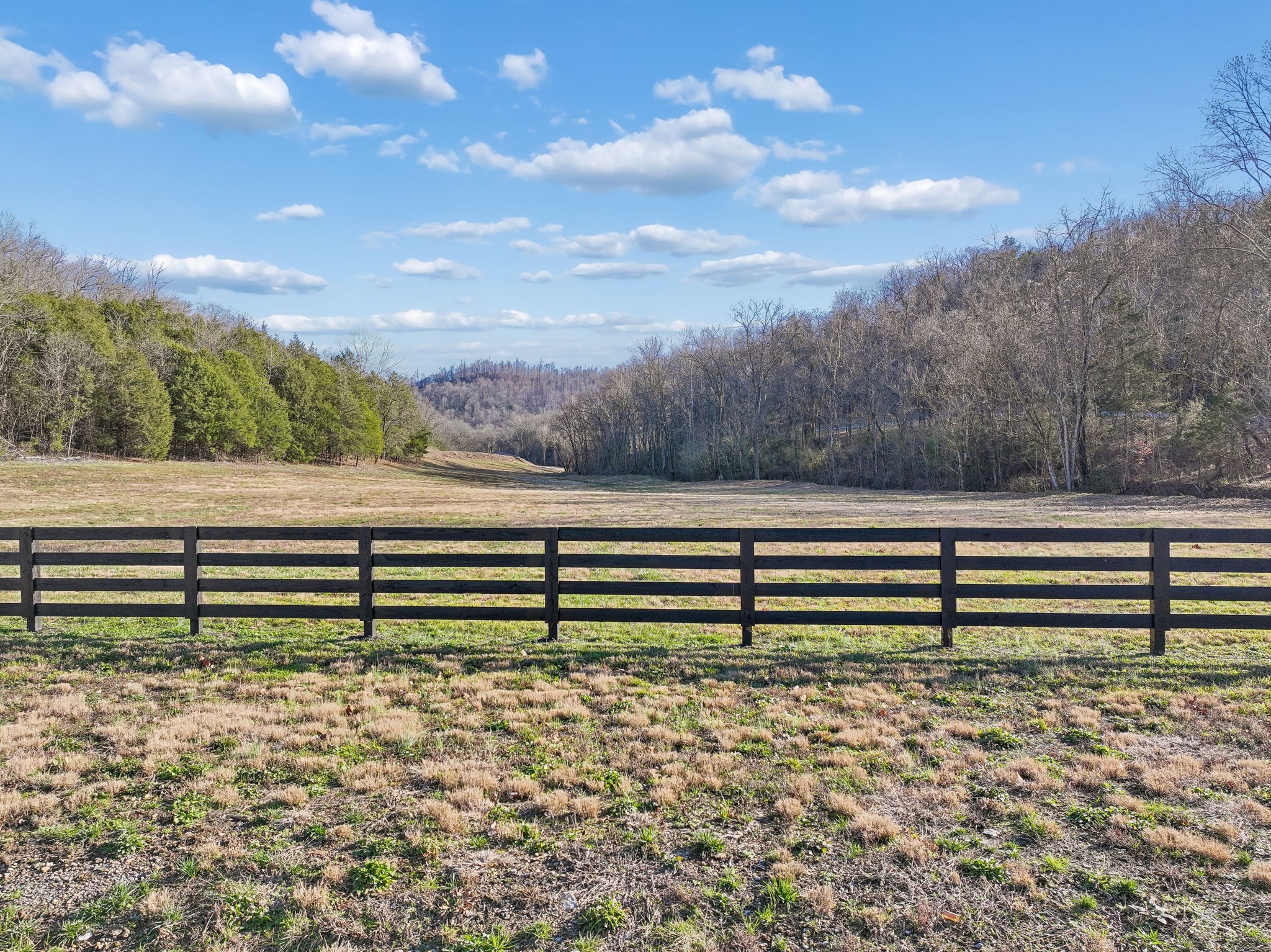 215 Hickman Creek Road South Hickman, TN 38567 - Photo 48 of 98