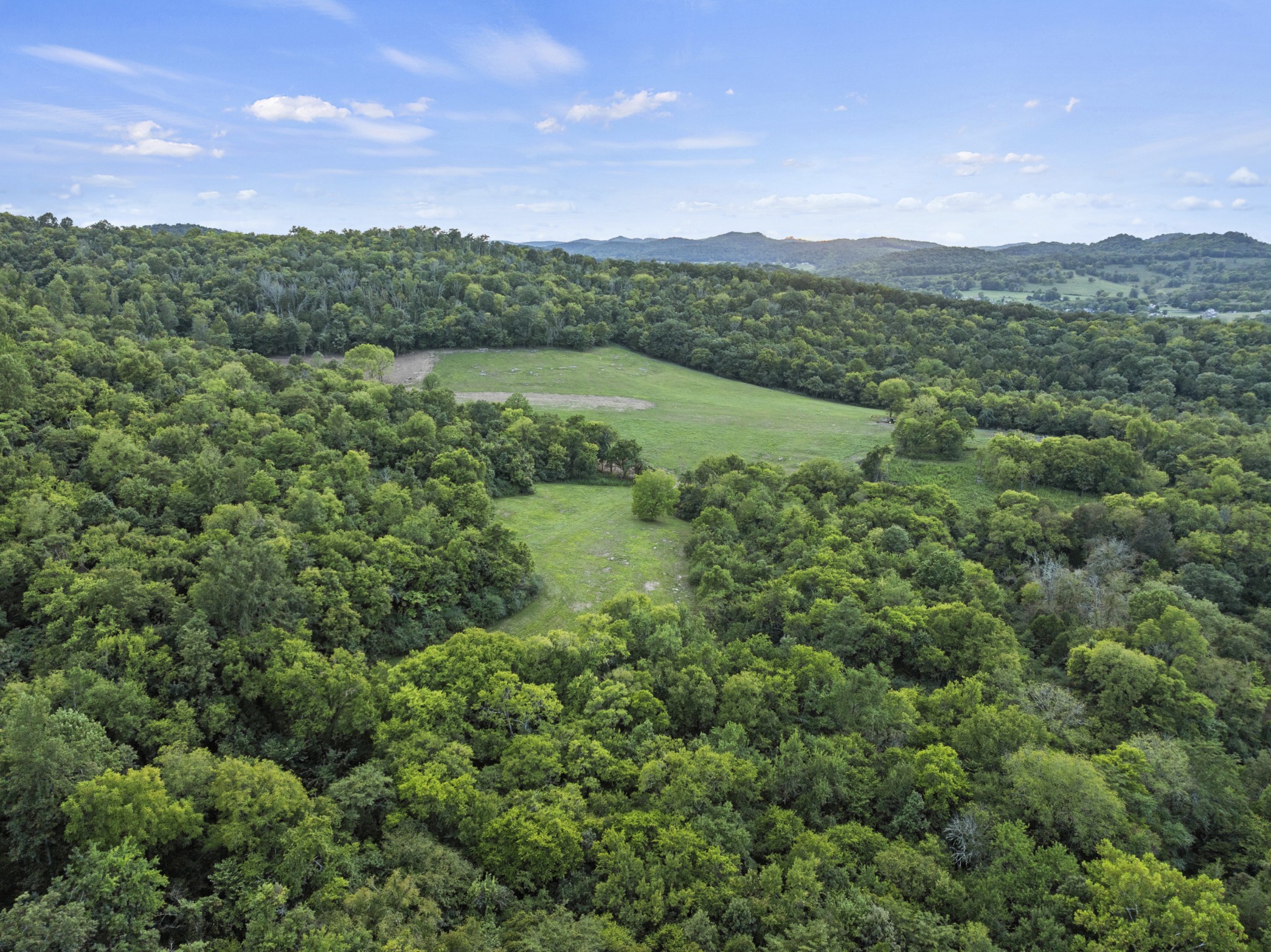 215 Hickman Creek Road South Hickman, TN 38567 - Photo 5 of 98