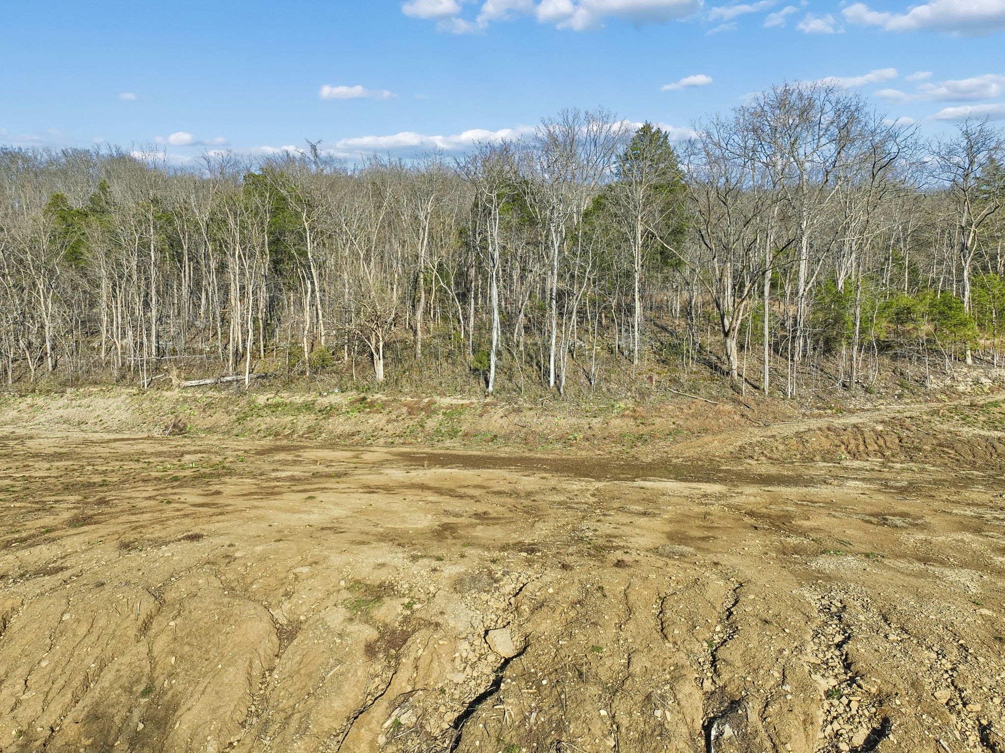 215 Hickman Creek Road South Hickman, TN 38567 - Photo 52 of 98