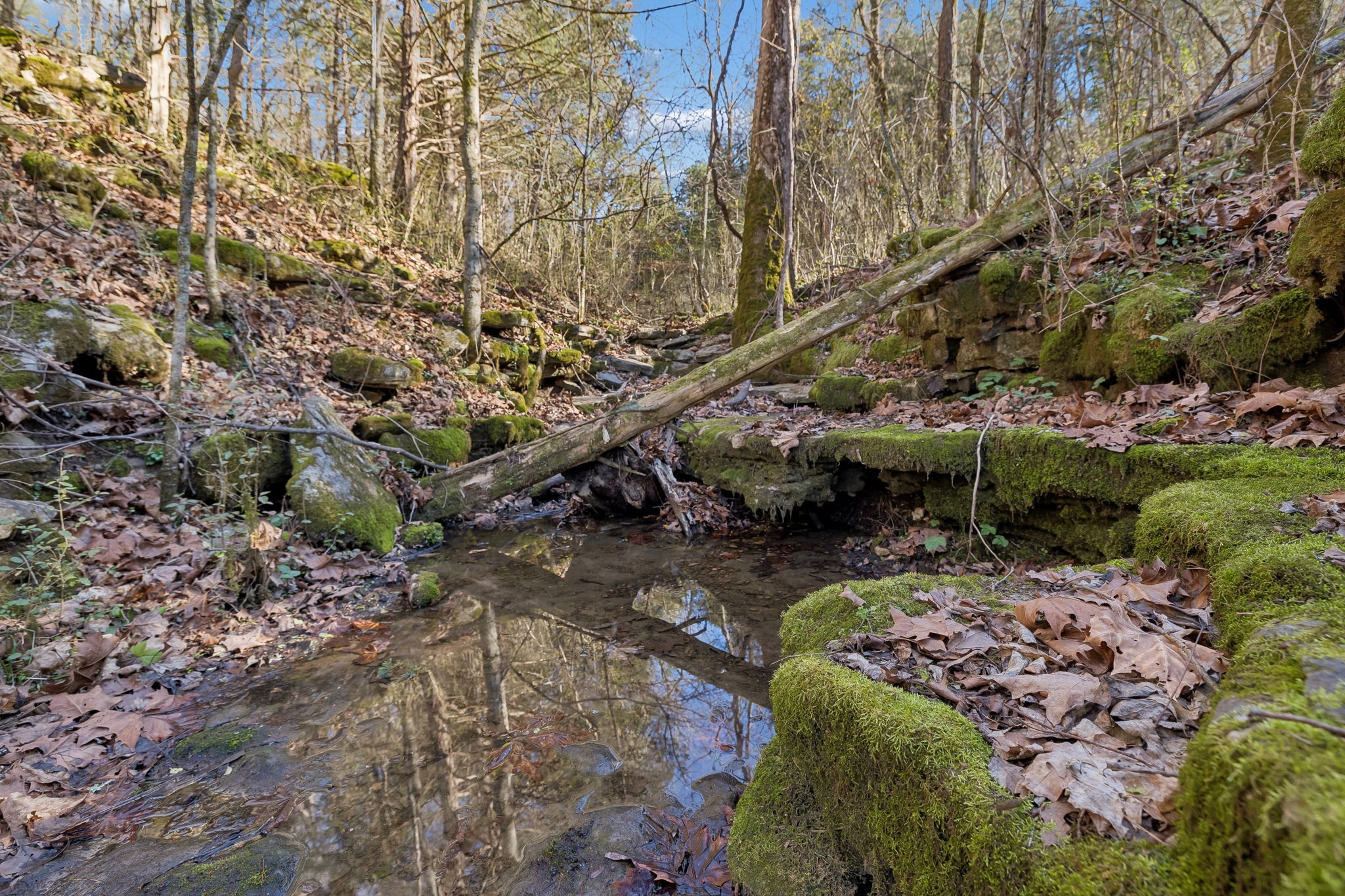 215 Hickman Creek Road South Hickman, TN 38567 - Photo 72 of 98