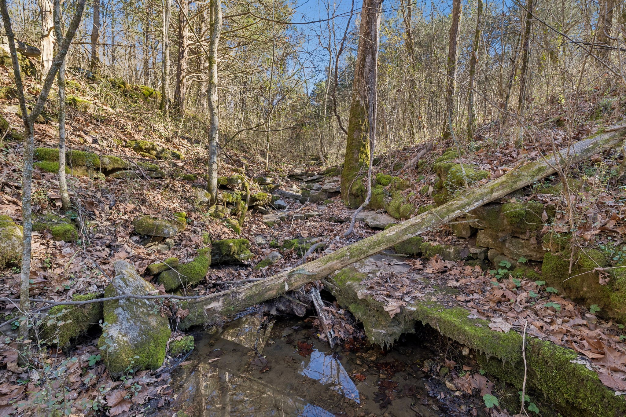 215 Hickman Creek Road South Hickman, TN 38567 - Photo 73 of 98