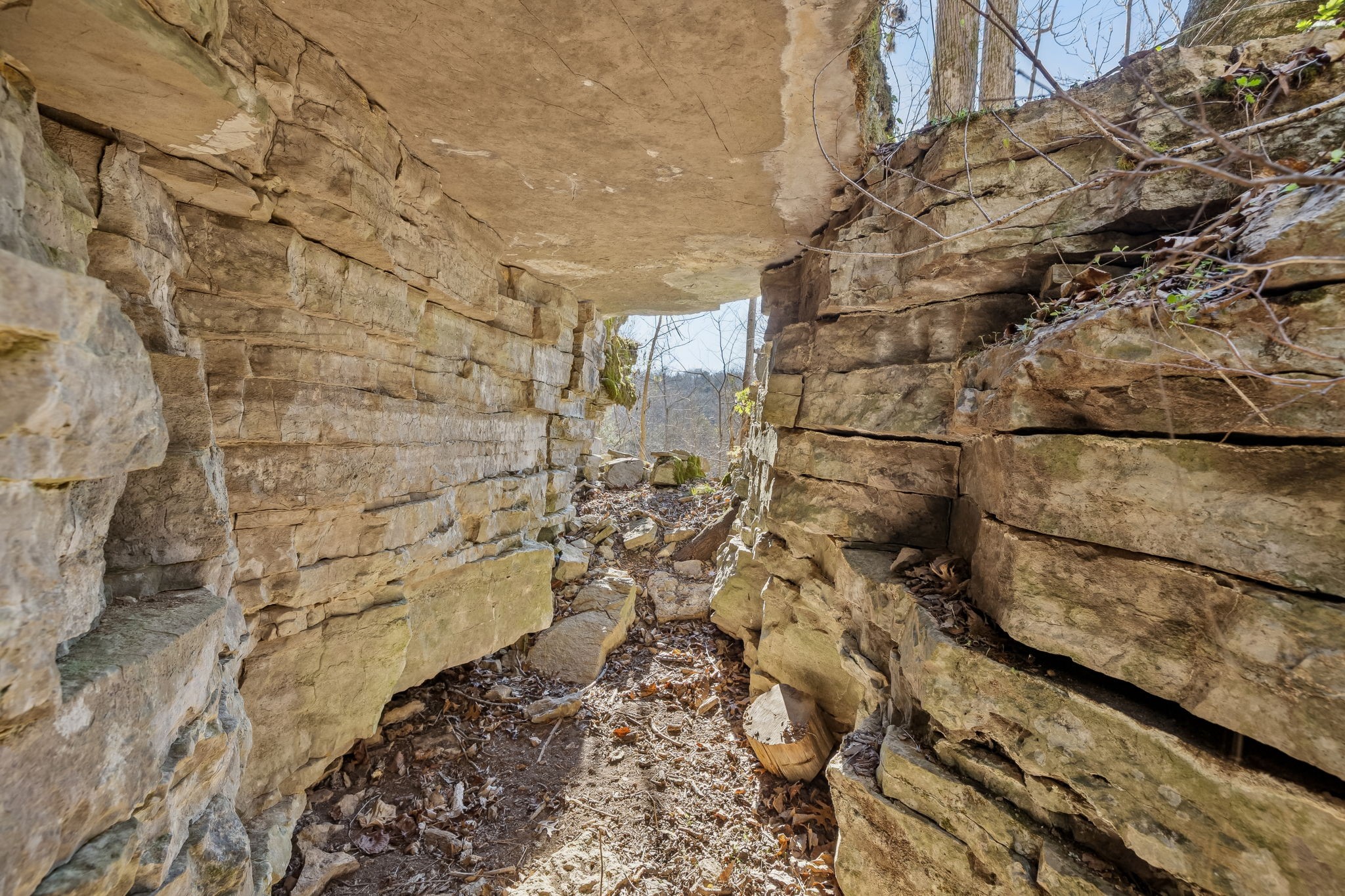 215 Hickman Creek Road South Hickman, TN 38567 - Photo 83 of 98