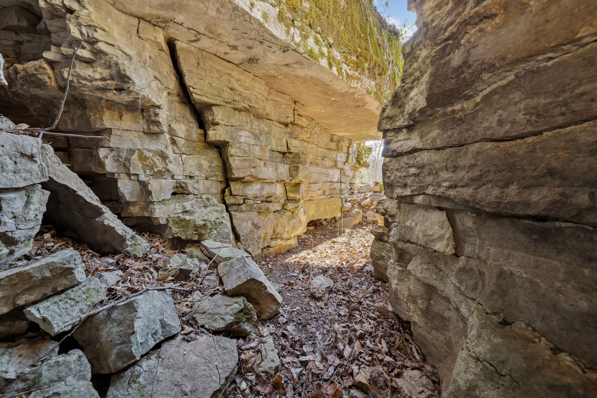 215 Hickman Creek Road South Hickman, TN 38567 - Photo 91 of 98