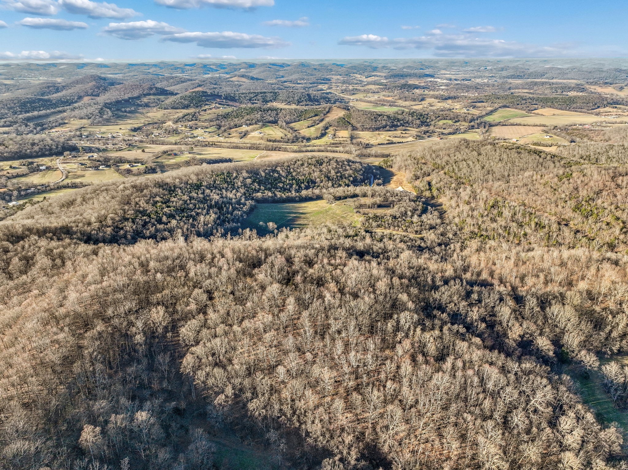 215 Hickman Creek Road South Hickman, TN 38567 - Photo 95 of 98