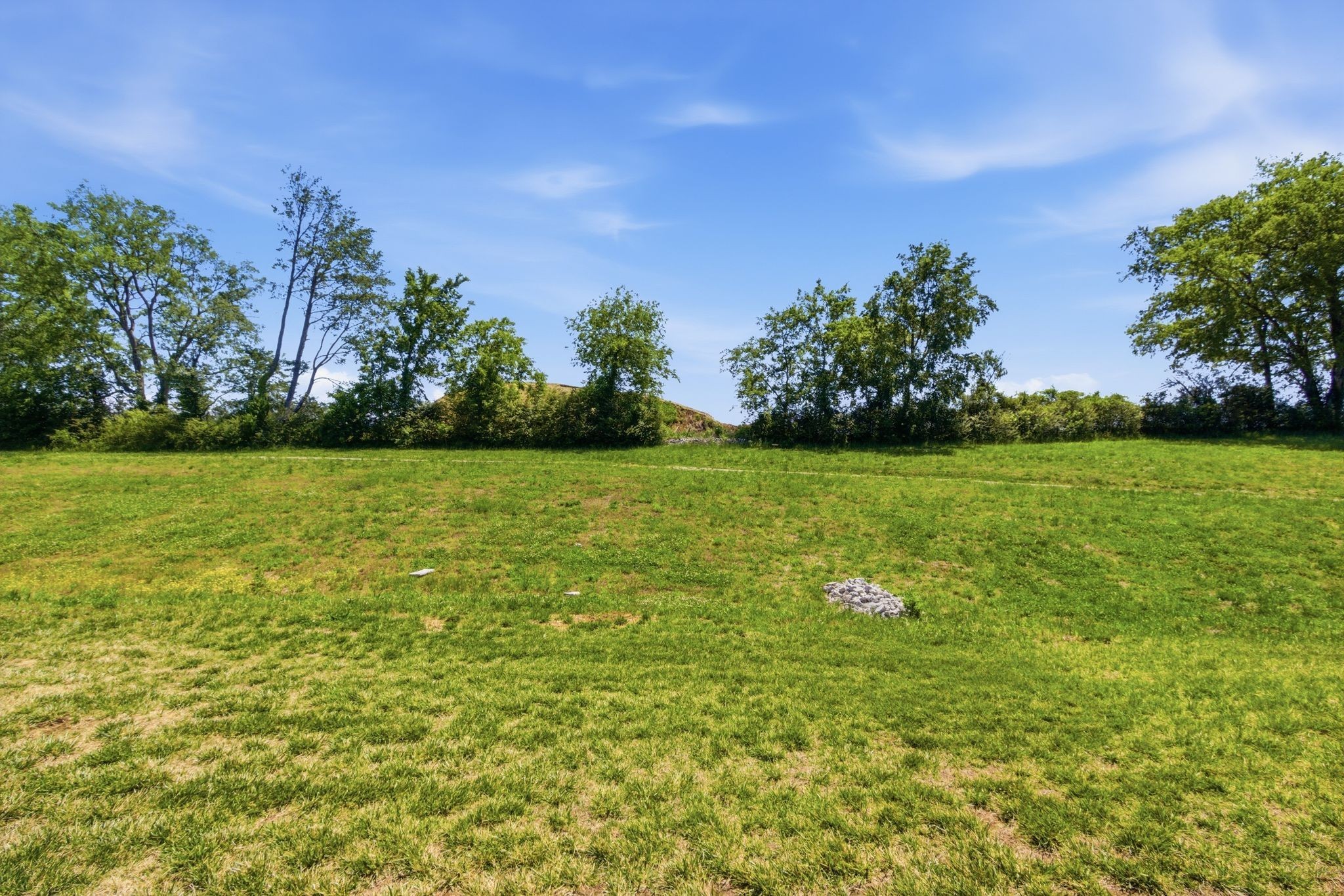 1154 June Wilde Ridge Spring Hill, TN 37174 - Photo 26 of 38