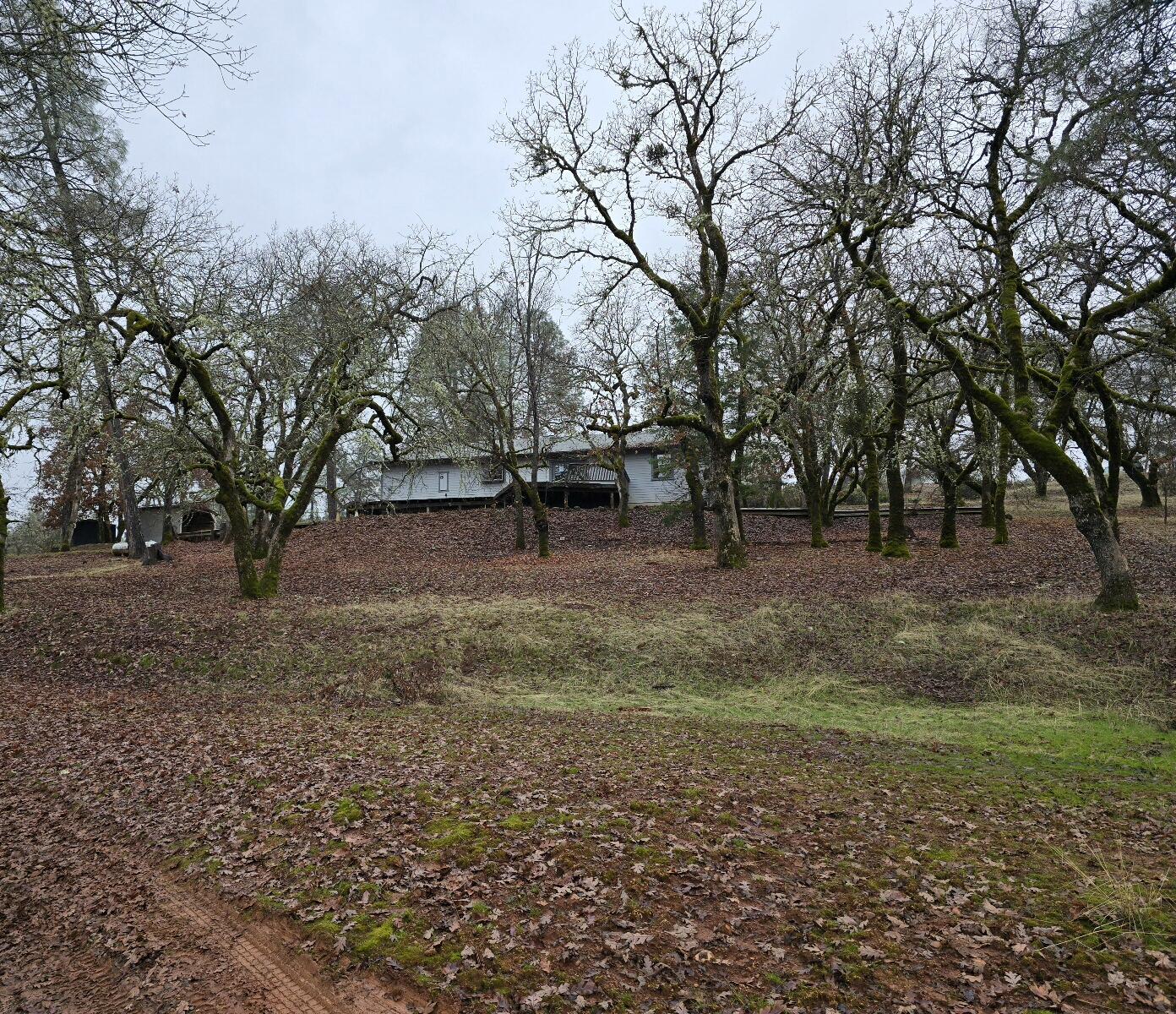4940 Old Lewiston Road Lewiston, CA 96052 - Photo 2 of 27 a backyard of a house with lots of green space
