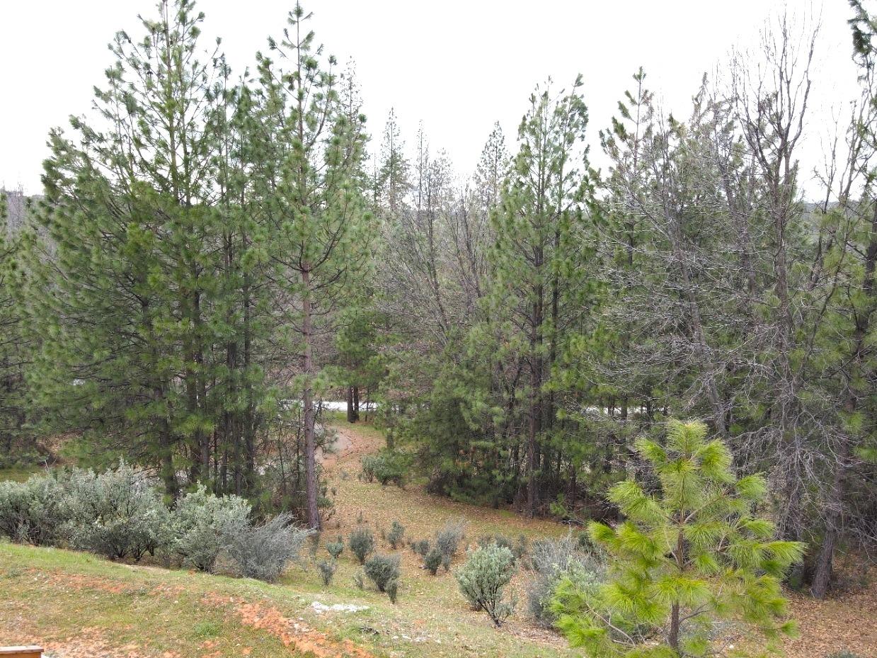 2805 Mason Road Rail Road Flat, CA 95248 - Photo 66 of 75 Gallery Image 66