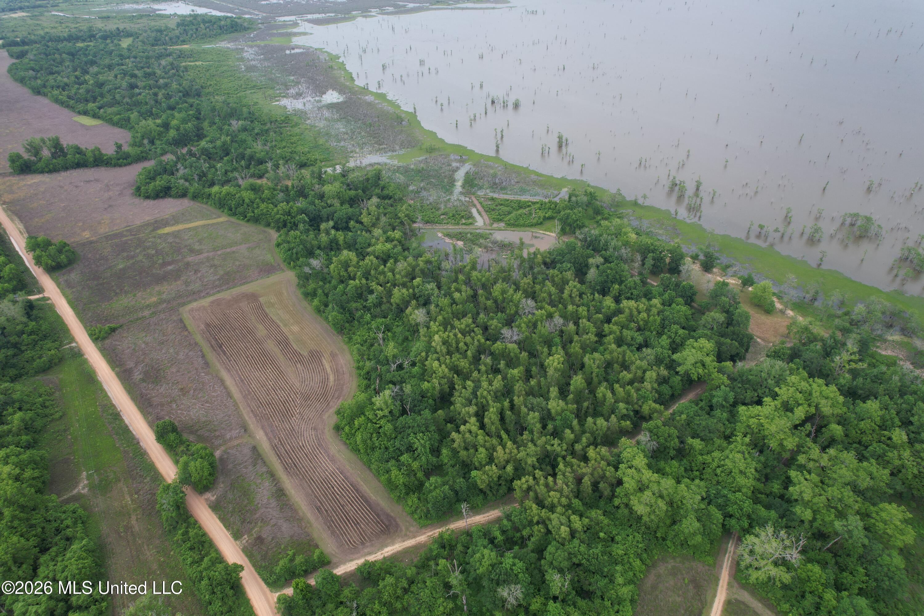 Lake Mary Road Woodville, MS 39669 - Photo 7 of 39 DJI_0961