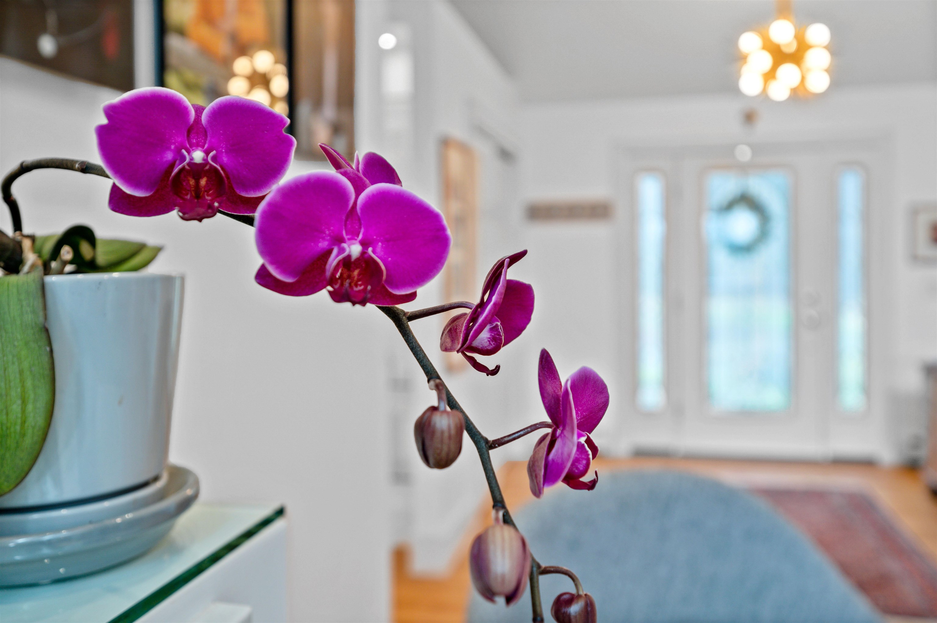 14 North Pinnacle Ridge Road Waterbury, VT 05676 - Photo 11 of 40 Gallery Image 11