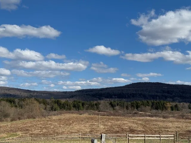 $120,000 | 1463 Highway 8, Brookfield, NY 13485