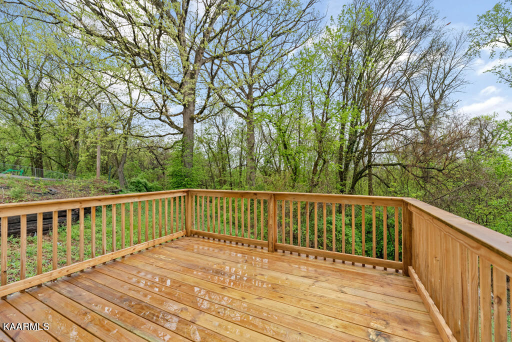 306 Nash Road Knoxville, TN 37914 - Photo 19 of 23 Nsh306 (66)
