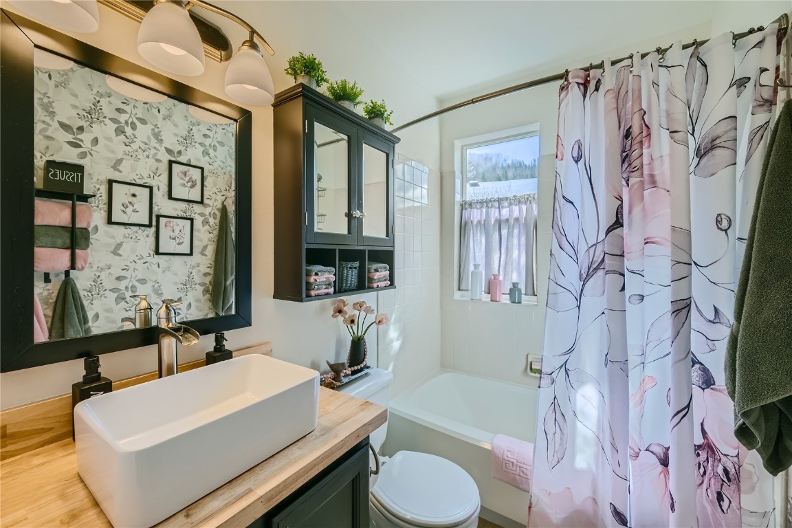 852 Alpine Road Dillon, CO 80435 - Photo 18 of 29 a bathroom with a sink a toilet and a bathtub