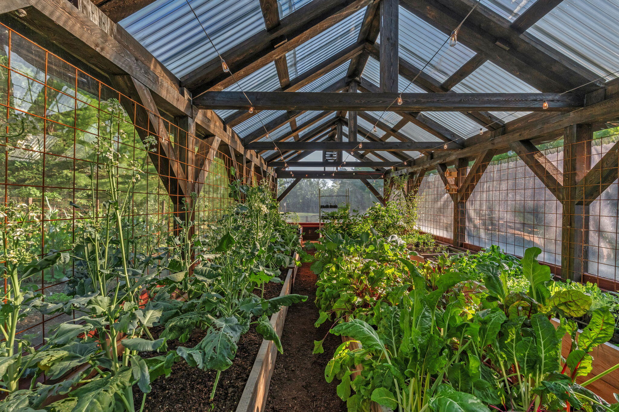 145 East Road Bradford, ME 04410 - Photo 35 of 107 Greenhouse