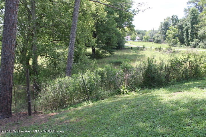 2892 Sipsey Road Jasper, AL 35504 - Photo 12 of 33 Gallery Image 12
