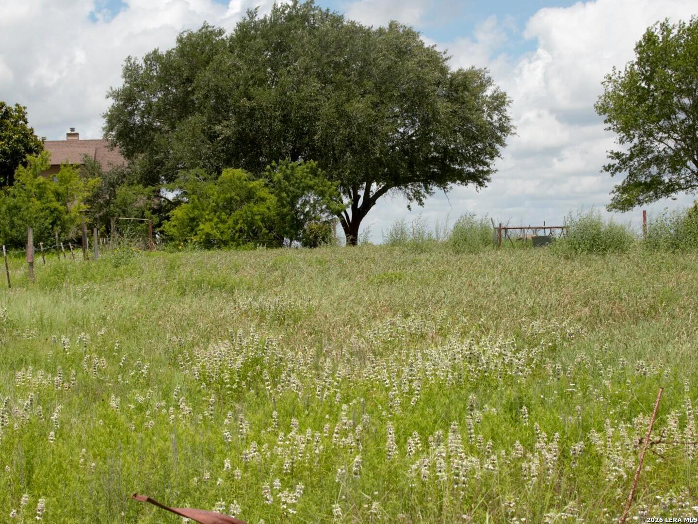 1460 Sandy Elm Road La Vernia, TX 78121 - Photo 6 of 25