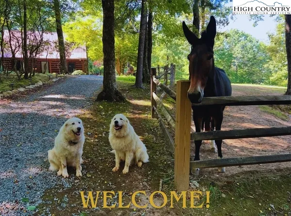 $895,000 | 130 Hawkbill Road, Ferguson, NC 28624