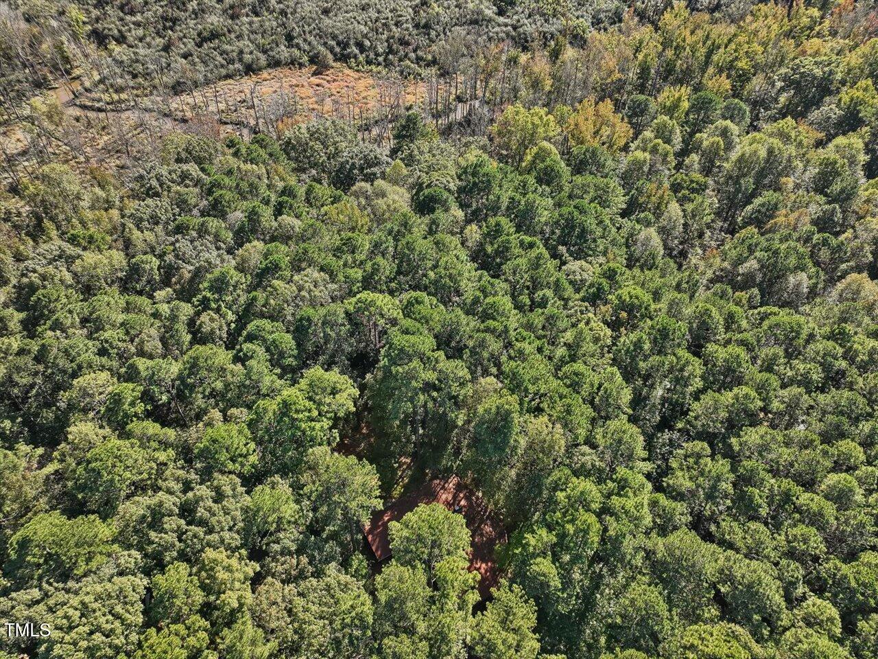177 Karen Calhoun Road Pittsboro, NC 27312 - Photo 11 of 17 view of a field of grass and trees