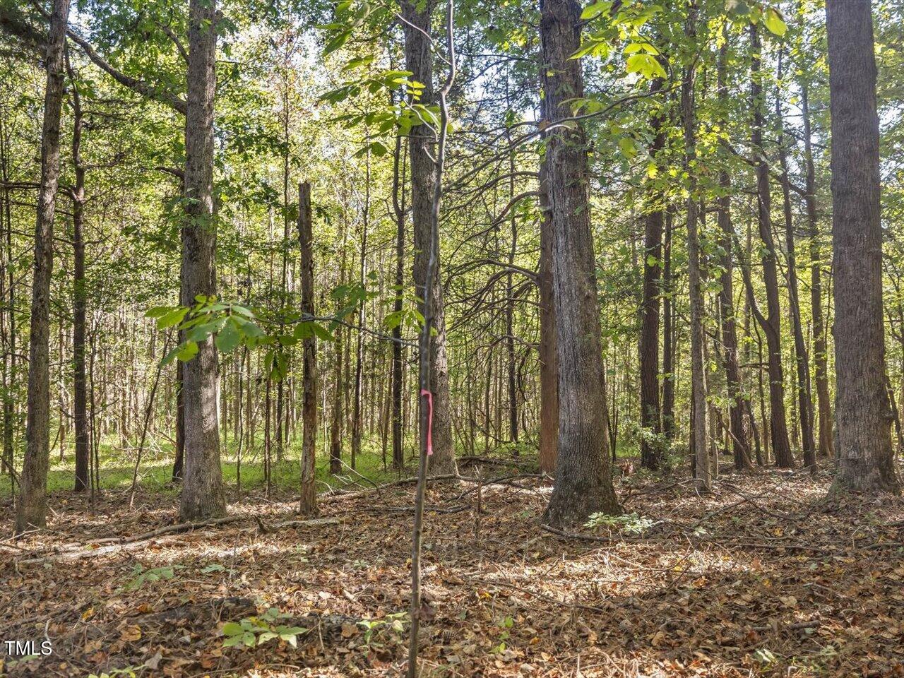 177 Karen Calhoun Road Pittsboro, NC 27312 - Photo 14 of 17 a backyard of a house with lots of trees