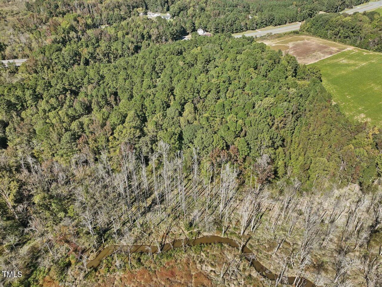 177 Karen Calhoun Road Pittsboro, NC 27312 - Photo 3 of 17 a view of a yard with plants