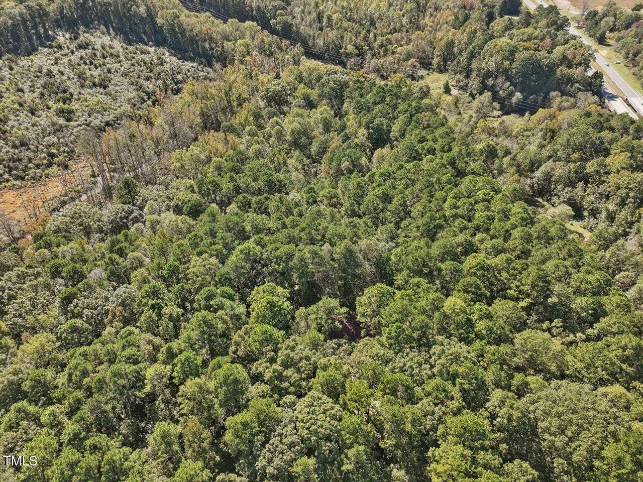 177 Karen Calhoun Road Pittsboro, NC 27312 - Photo 4 of 17 a view of a field of grass and trees